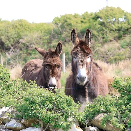 Vakantiehuis Wild Sea